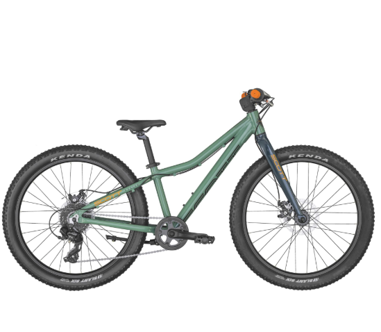 Scott Roxter 24 green